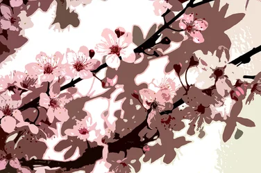 Flor de Japón